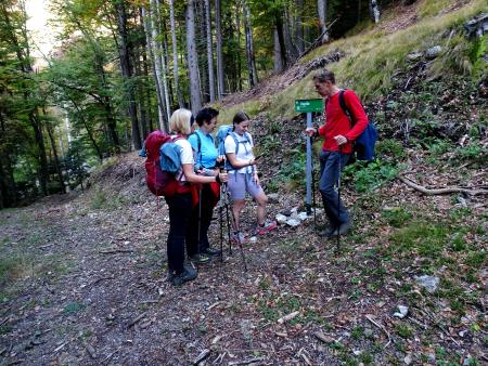 POSTAVITEV TABEL (20)